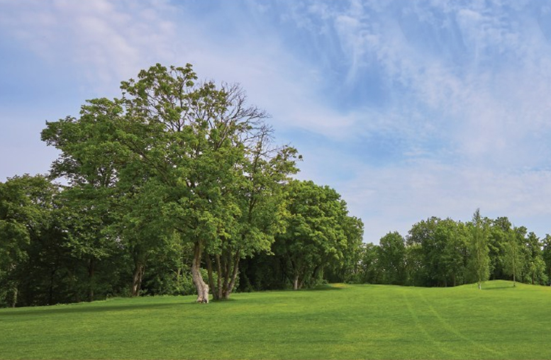 Mag Mile Capital Arranges $1.7 Million Loan to Refinance Land Attached to Big Rivers Water and Theme Park Development